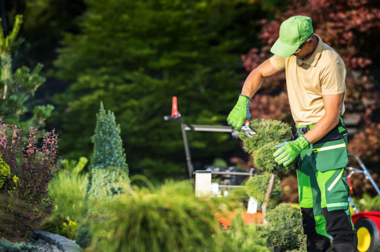 Landscaping Services in Edmonton